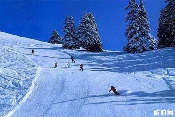 山西滑雪的地方 山西滑雪场推荐
