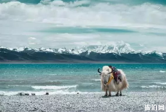 冬天旅游推薦地 冬天應(yīng)該去哪些地方旅游呢