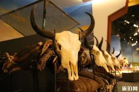 2024年西藏耗牛博物馆游玩攻略-门票价格-景点信息