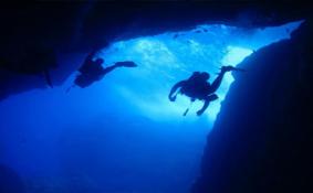 菲律宾海豚湾潜水
