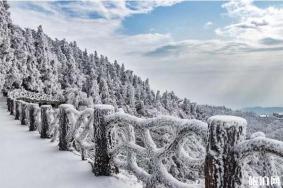 庐山雾凇一般什么时候 南方哪里可以看雪