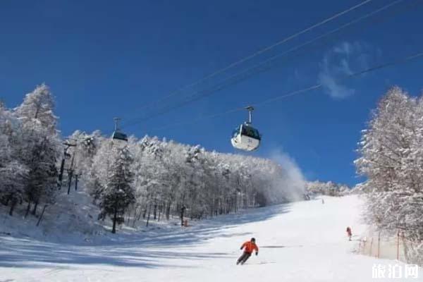 东京滑雪场推荐 东京有哪些滑雪场