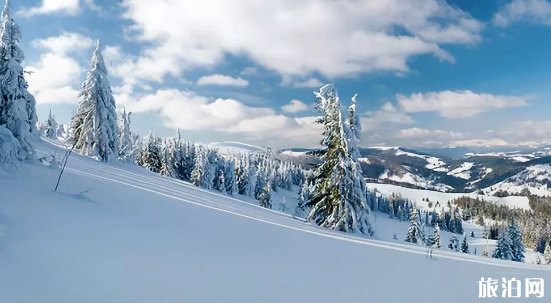 国内有哪些地方适合亲子滑雪场