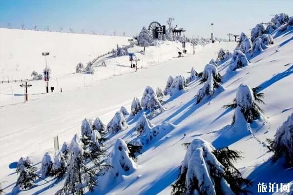 国内有哪些地方适合亲子滑雪场