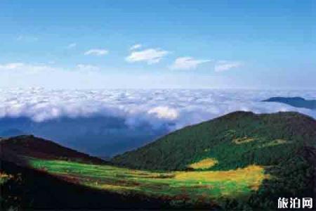 2023山西沁水历山游玩攻略 - 门票价格