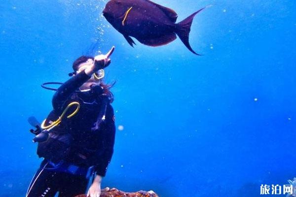 巴厘岛最佳潜水季节 巴厘岛潜点怎么选