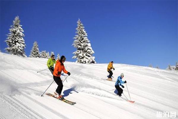 2019-2020北海道滑雪场开放时间汇总