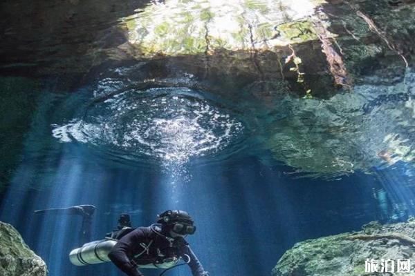 加勒比海洞穴潜水胜地推荐