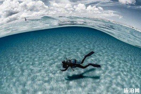 加勒比海洞穴潜水胜地推荐