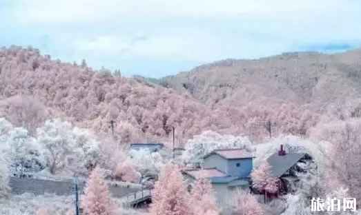 日本有哪些值得一去景點