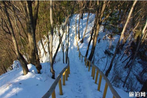 伏牛山滑雪场电话号码 附2019-2020伏牛山滑雪场12月1日开启