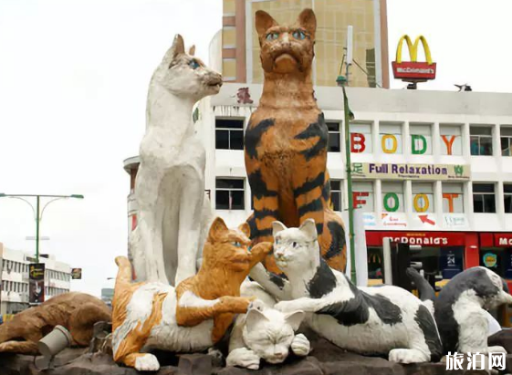 撸猫圣地推荐 猫奴们有哪些旅游必去景点