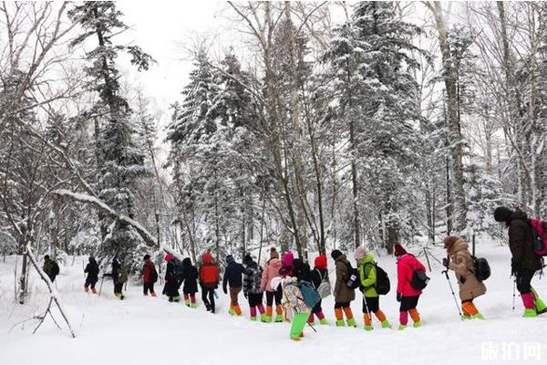 2020雪鄉必玩項目 雪鄉旅游注意事項