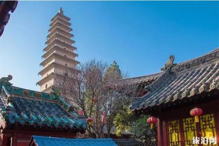 2023永济普救寺旅游区游玩攻略 - 门票价格
