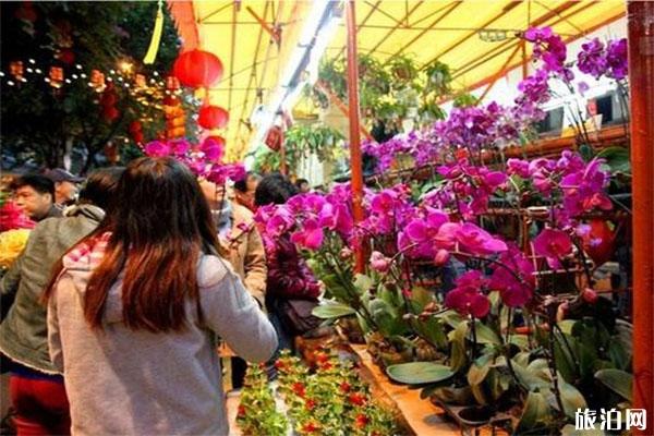 2020广州各区花市开启时间