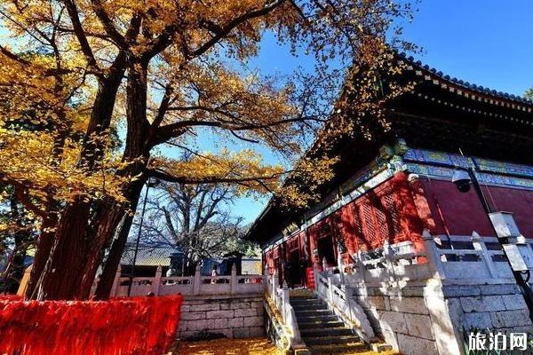 2020北京春節各大寺廟祈福求什么最靈