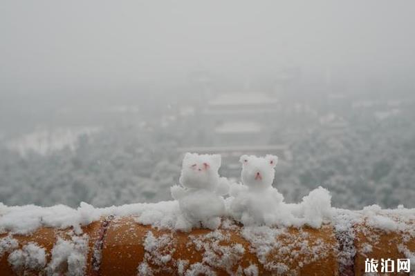 2019年12月16日北京下雪公园赏雪景指北