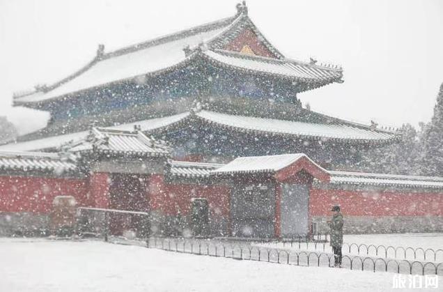 2019年12月16日北京下雪公园赏雪景指南