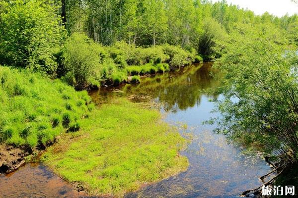 2022九曲十八弯国家湿地公园旅游攻略 -
门票价格
