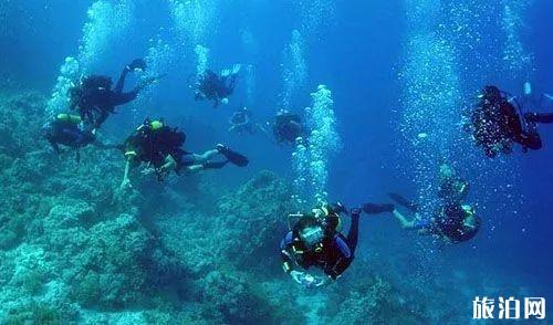 东南亚潜水胜地排名 东南亚哪里潜水最好