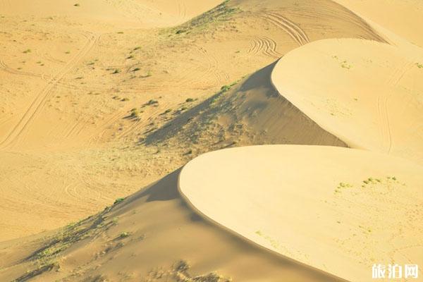 2024巴丹吉林沙漠游玩攻略 - 门票价格 - 开放时间 - 简介 - 地址 - 交通 - 天气 - 电话