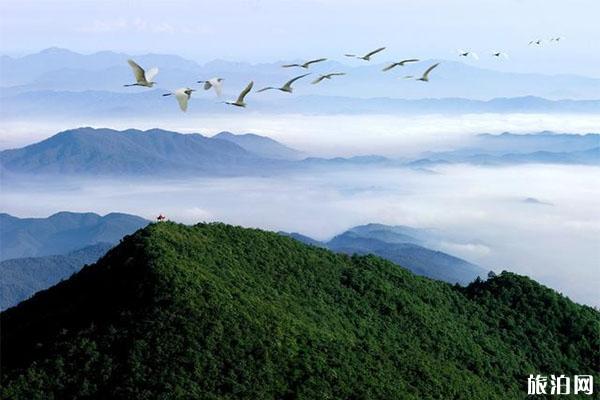 2022赣州阳岭国家森林公园旅游攻略 - 门票价格
