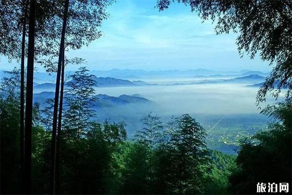 2022赣州阳岭国家森林公园旅游攻略 - 门票价格