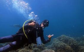 初学潜水一般能潜多少米 潜水的好处