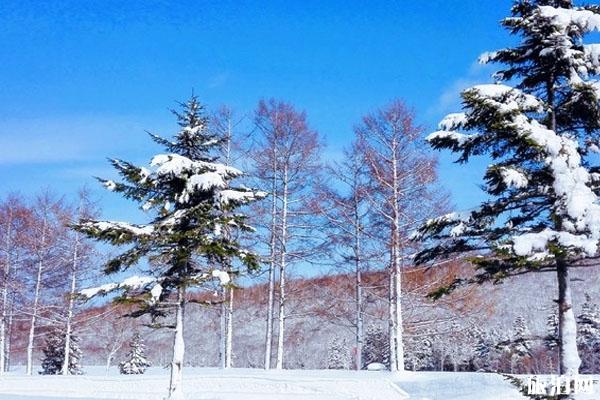 喜乐乐滑雪场 北海道喜乐乐滑雪场费用 喜乐乐滑雪场在哪