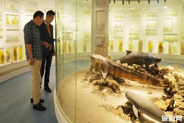 樂清市海洋生物展示中心怎么樣