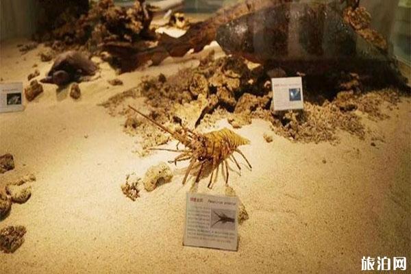 樂清市海洋生物展示中心怎么樣