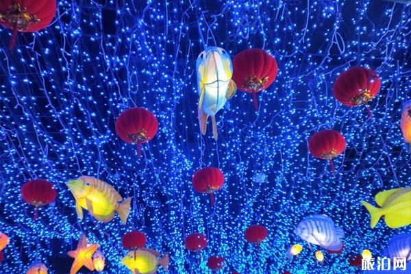 2019广州正佳极地海洋世界圣诞活动（优惠+门票+游玩项目）