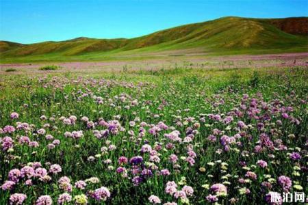 2023若尔盖花湖风景区旅游攻略 - 门票价格  - 开放时间 - 景点介绍 - 简介 - 交通 - 地址 - 天气