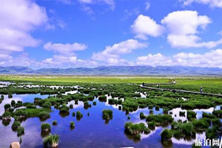 2023若尔盖花湖风景区旅游攻略 - 门票价格  - 开放时间 - 景点介绍 - 简介 - 交通 - 地址 - 天气