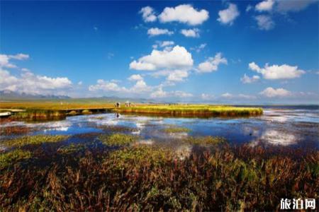 2023若尔盖花湖风景区旅游攻略 - 门票价格  - 开放时间 - 景点介绍 - 简介 - 交通 - 地址 - 天气