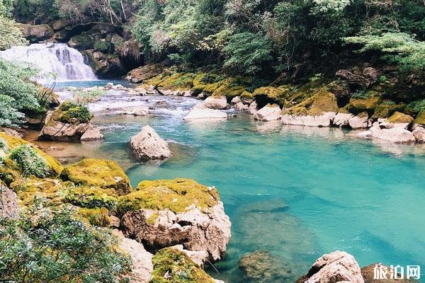 2023贵州茂兰国家级自然保护区游玩攻略 - 门票价格 - 地址