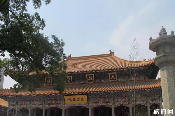 大兴善寺旅游攻略-门票价格-景点信息