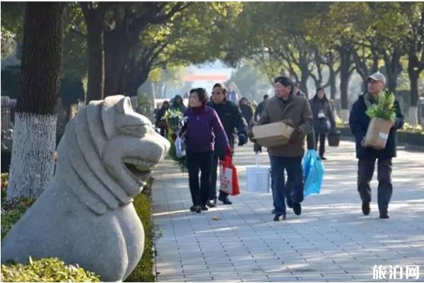 2019上海冬至扫墓开车怎么去