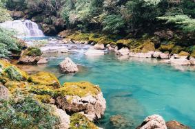 2024贵州茂兰国家级自然保护区游玩攻略-门票价格-景点信息