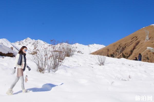 成都鷓鴣山跟團多少錢 成都到鷓鴣山旅游攻略