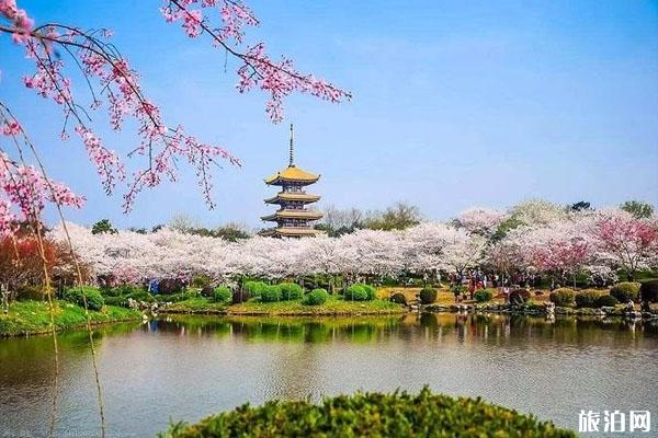 武漢東湖磨山風景區門票 武漢東湖磨山景點 武漢東湖磨山介紹