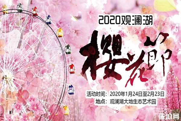 2020观澜湖樱花节1月24日开启