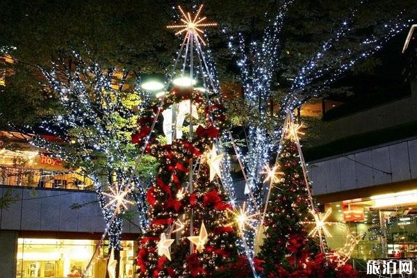 圣诞树是什么树 2019圣诞节武汉哪里有圣诞树
