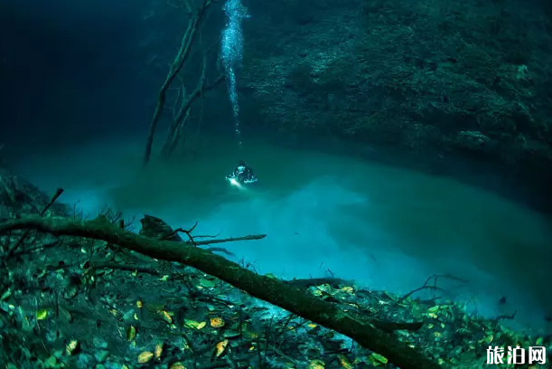 墨西哥洞潜推荐地  墨西哥有哪些洞潜潜水地