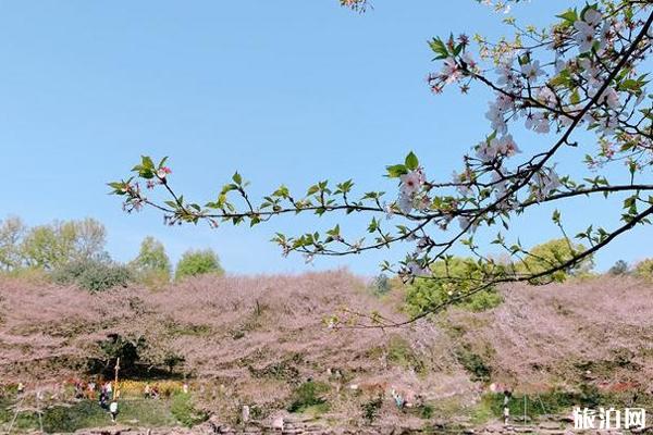 2020湖南省植物园免费开放 湖南省植物园攻略