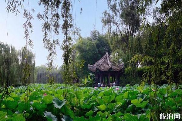 2023成都宝光桂湖文化旅游区旅游攻略 - 门票价格 - 开放时间 - 简介 - 交通 - 地址 - 天气