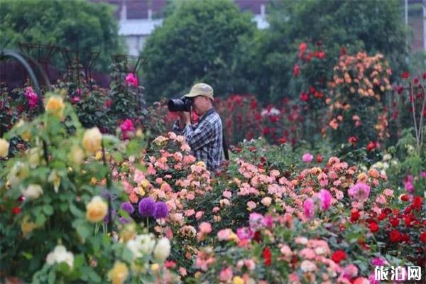 湖南植物園免費開放 怎么預約+預約規則