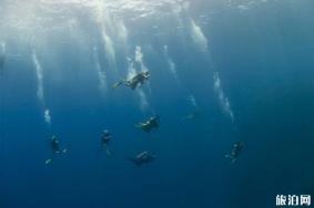 如何选购潜水相机 潜水相机要如何购买