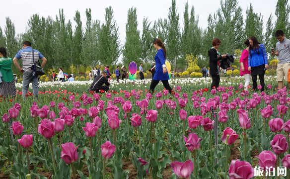 2022年银川植物园旅游攻略 - 自助游路线