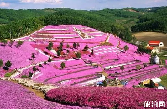 粉红色景点推荐 世界上有哪些粉红景色